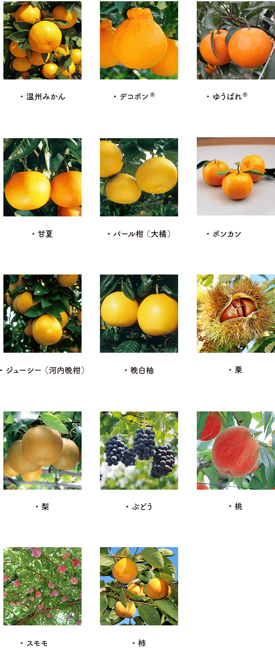 ソフトクリームに使用しているジューシー製品